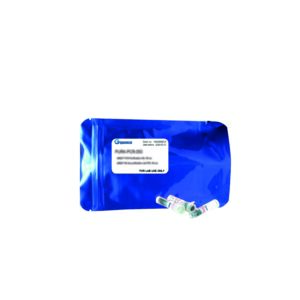 MARCADOR DE PESO MOLECULAR DE ADN <i>OXGEN</i>