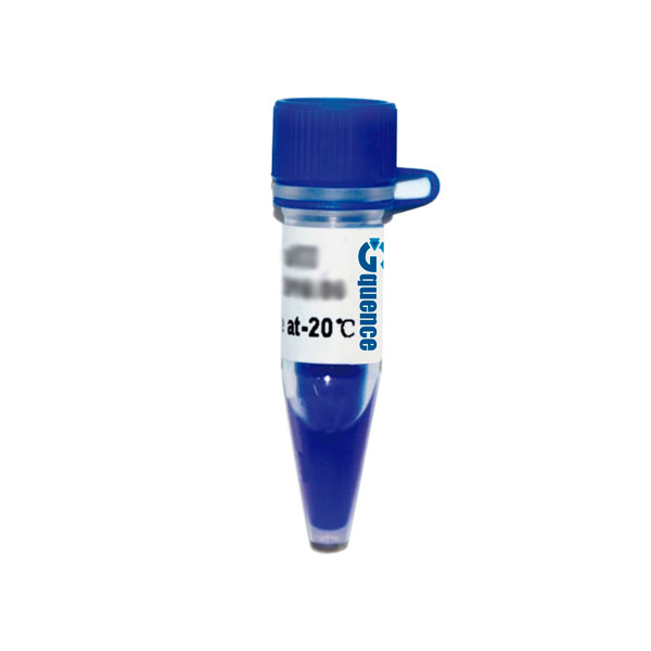 LADD-PR2-250.jpg MARCADOR DE PESO MOLECULAR DE PROTEÍNAS OXGEN